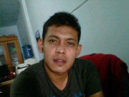 Priyo wibisono