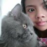 irma ayu nasution