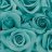 Tosca