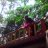 Dinda308